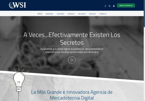 WSI, Consultores de Mercadotecnia
