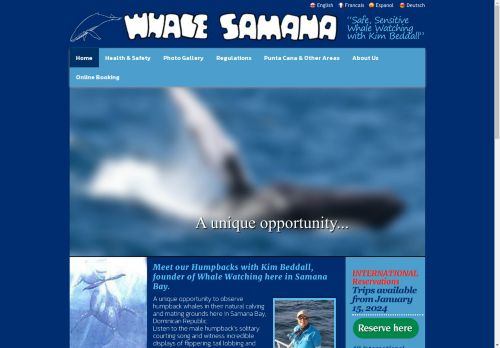Whales of Samana
