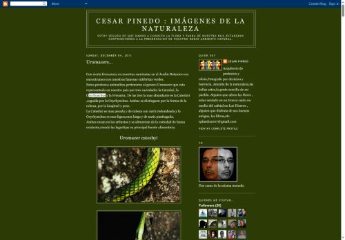 Cesar Pinedo