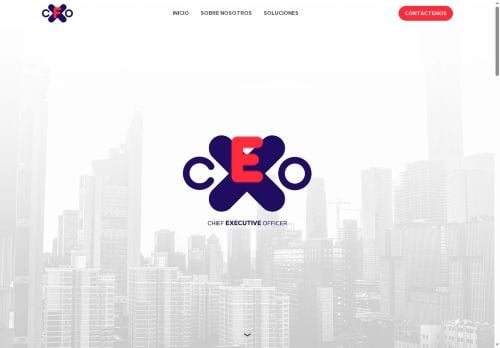 CXO Consulting