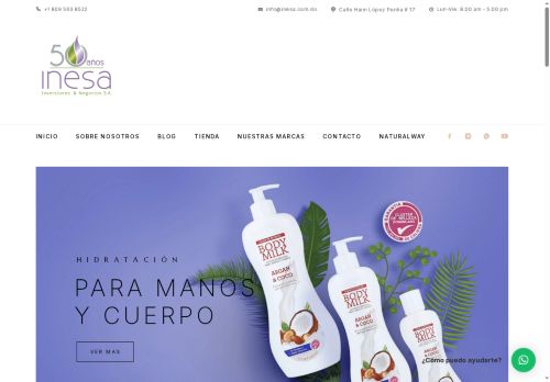 Inversiones y Negocios, INESA