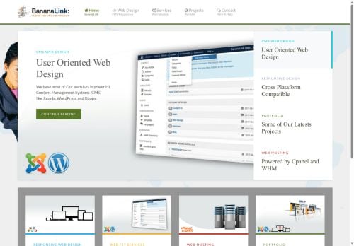 BananaLink Web Development