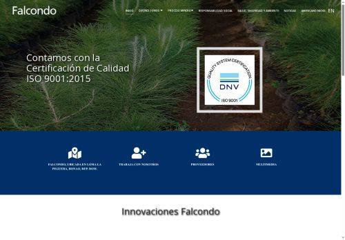 Falcondo