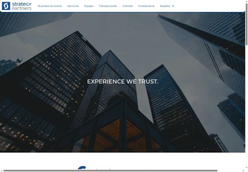 Strategy Partners