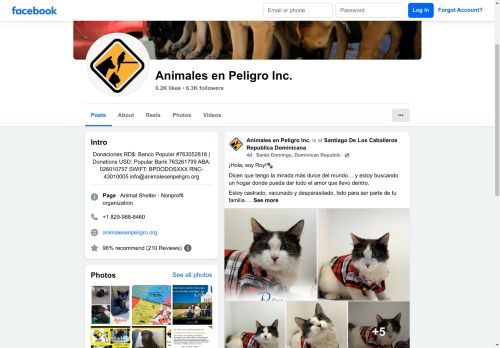 Fundación Animales en Peligro