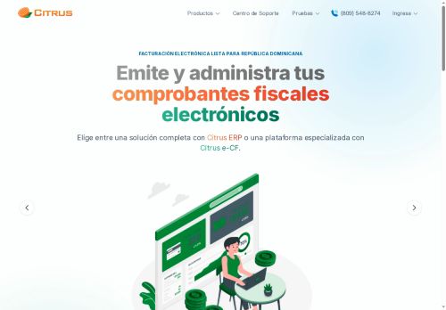 Citrus Technology Group