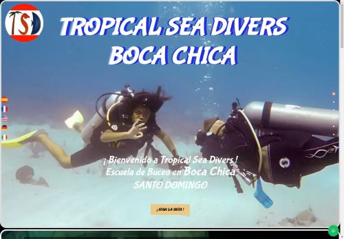 Tropical Sea Divers