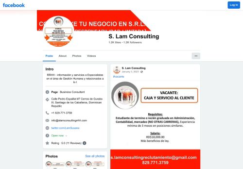 S. Lam Consulting