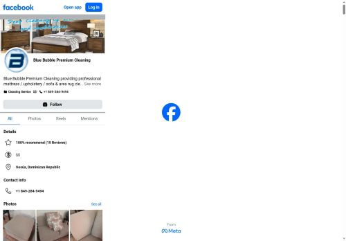 Blue Bubble Premium Cleaning Service