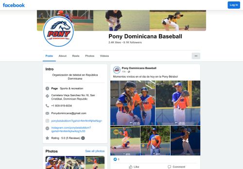 Pony Dominicana Baseball