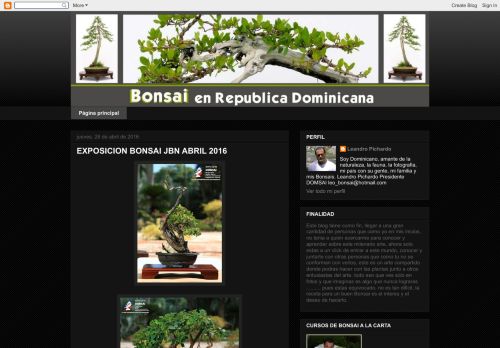 Bonsai en República Dominicana