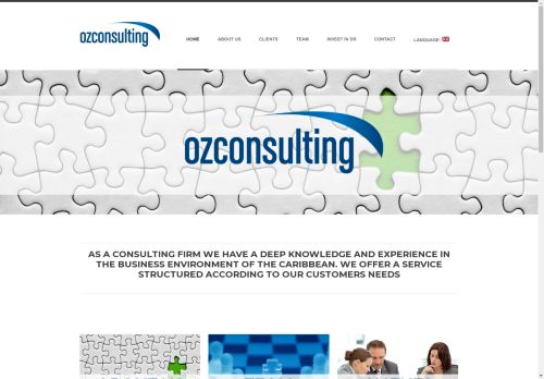 OZ Consulting