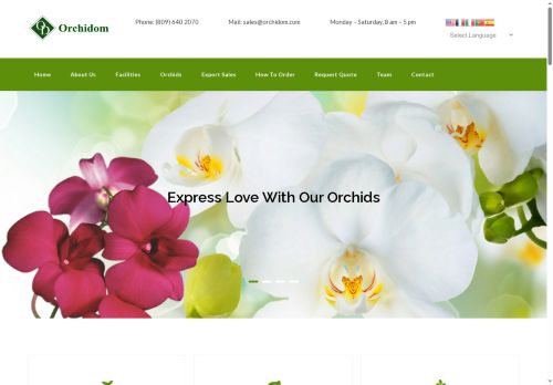 Orchidom