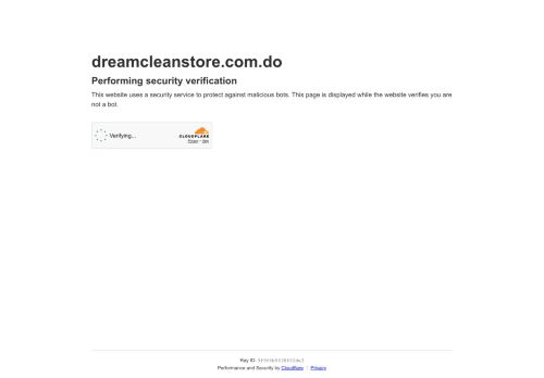 Dream Clean Store