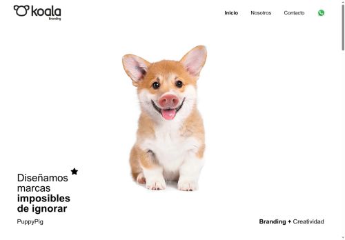 Koala Branding Group