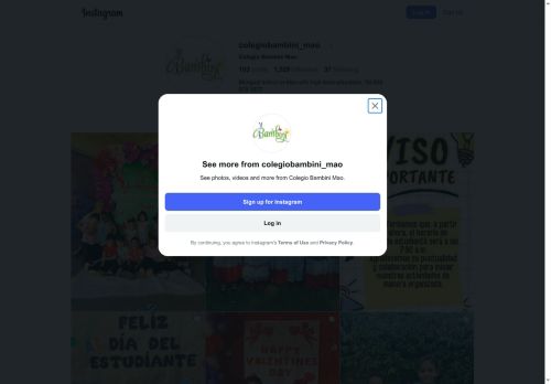 Bambini
