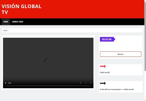 Visión Global TV