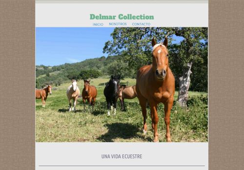 Delmar Collection