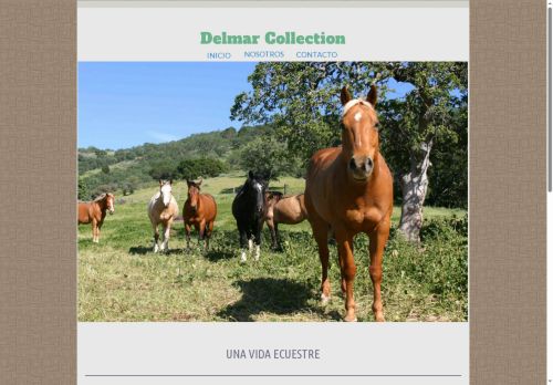 Delmar Collection