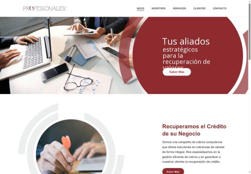 Profesionales