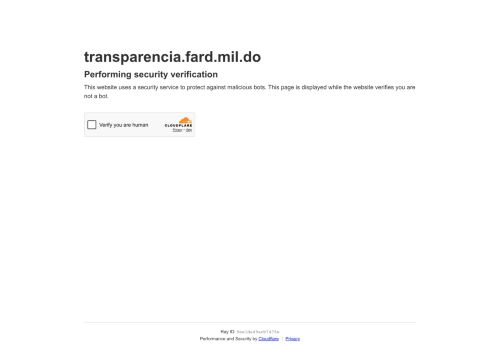Portal de Transparencia de la Fuerza Aérea