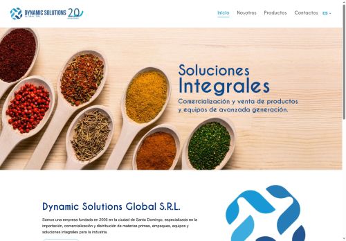 Dynamic Solutions Global, SRL