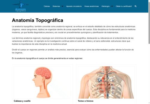 Anatomía Topográfica