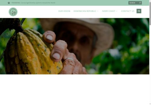 Cacao Forest