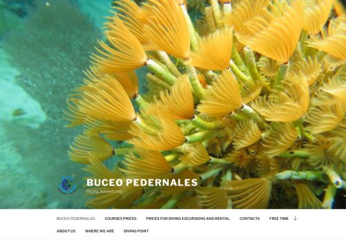 Scuba Diving Buceo Pedernales