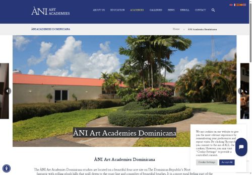 ÀNI Art Academies Dominicana