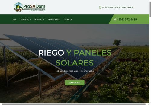 ProSADom