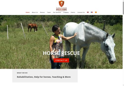 Singing Horse Foundation