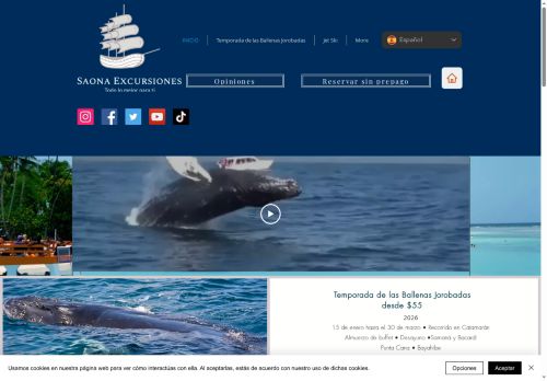 Saona Excursiones