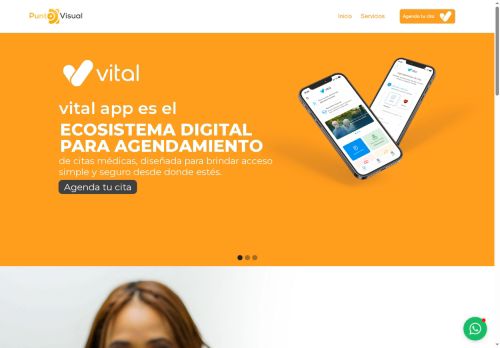 Punto Visual