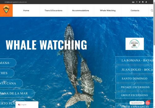 Ballenas Jorabadas