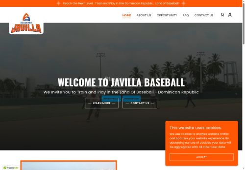 Academia de Basebal La Javilla
