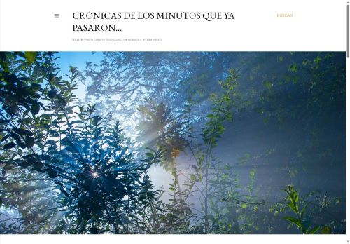 Crónicas de los Minutos que ya Pasaron